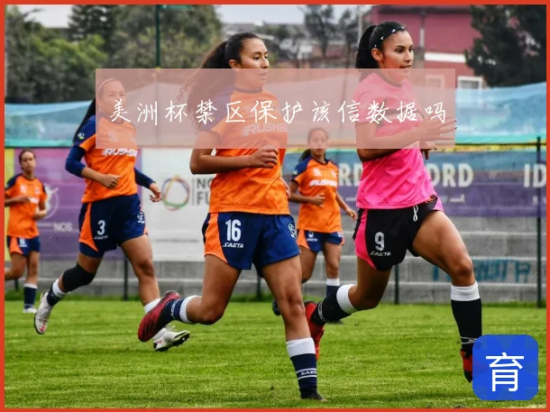 美洲杯禁区保护该信数据吗